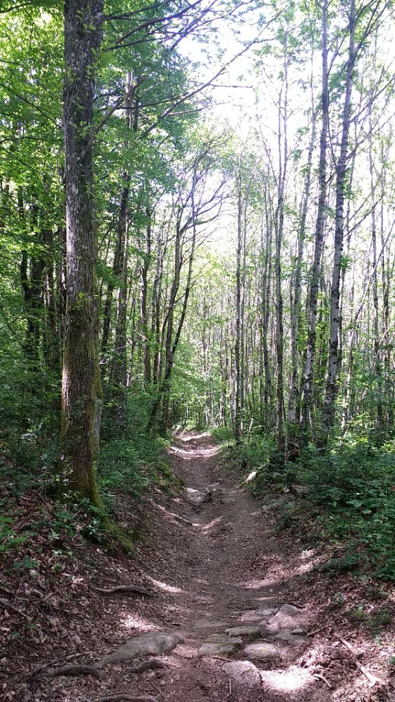 le chemin de chemussel